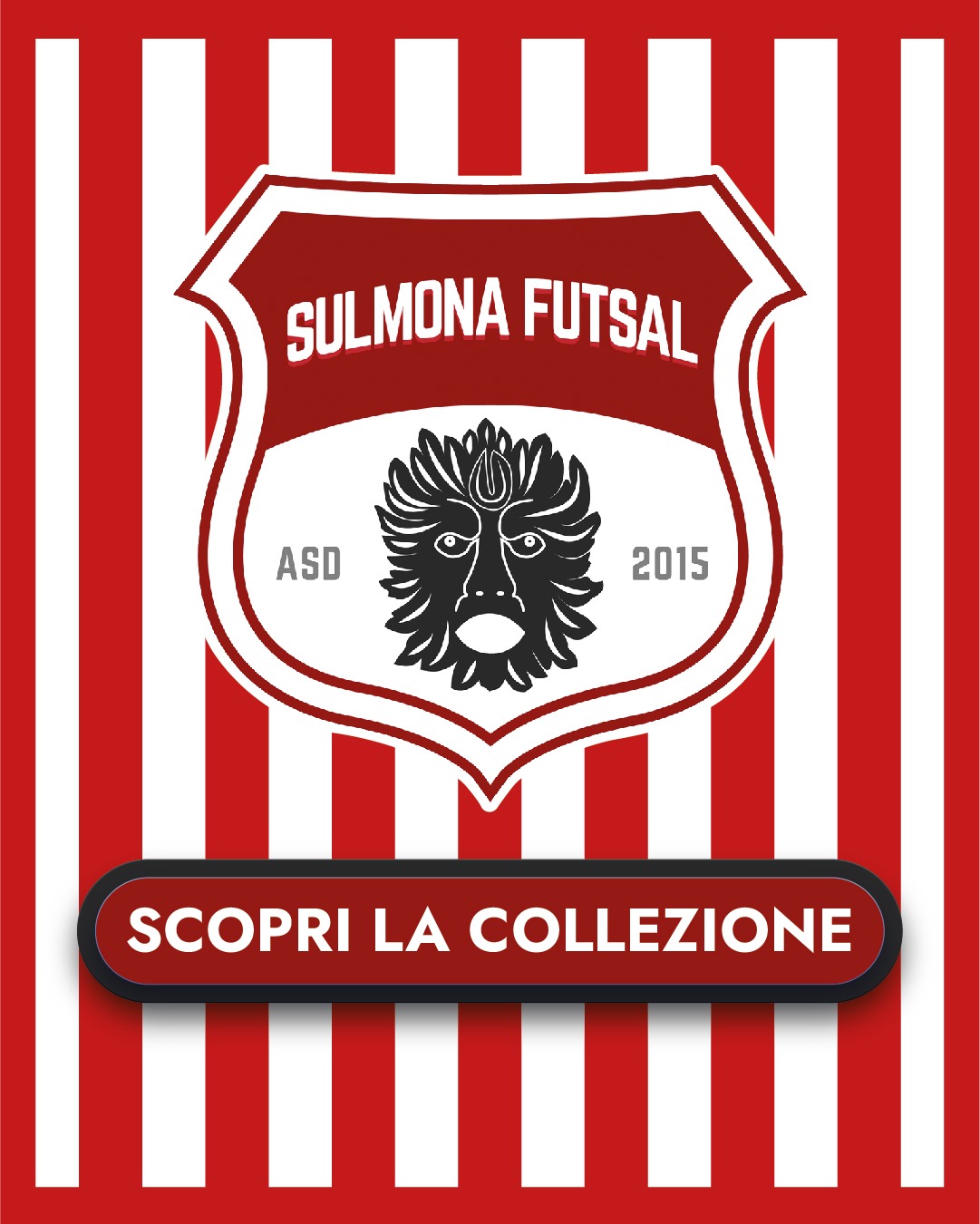 Sulmona Futsal C5